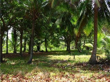 Venta: Terreno en frente del Mar Caribe, Colon