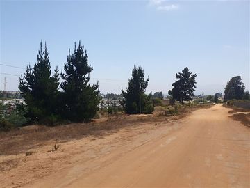 Industrial en Venta en Camino Internacional / Reñaca