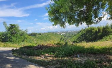 With WORLD Class Amenities 208 SQM RESIDENTIAL OVERLOOKING Lot for Sale in VISTA VERDE CONSOLACION CEBU