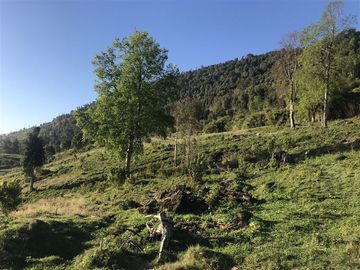 Terreno Construccion  en Venta en La Trafa - Lago Ranco