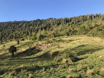 Terreno Construccion  en Venta en La Trafa - Lago Ranco