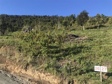 Terreno Construccion  en Venta en La Trafa - Lago Ranco