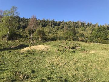 Terreno Construccion  en Venta en La Trafa - Lago Ranco