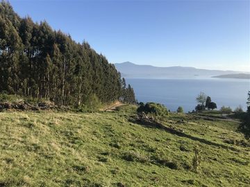 Terreno Construccion  en Venta en La Trafa - Lago Ranco