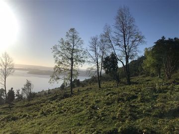 Terreno Construccion  en Venta en La Trafa - Lago Ranco