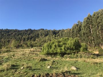 Terreno Construccion  en Venta en La Trafa - Lago Ranco