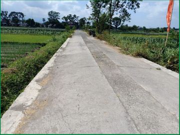 Rumah Cantik View Sawah di Bugisan