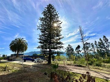Parcela en Venta en Camino a Santa Juana - Reserva de Mitrinhue