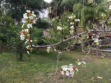 Terreno en venta en Lazarillo