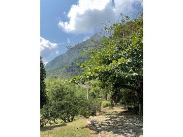Venta  Finca  Venecia Suroeste de Antioquia