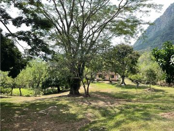 Venta  Finca  Venecia Suroeste de Antioquia