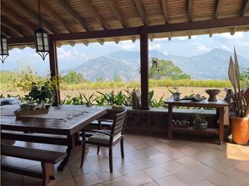 Venta  Finca  Venecia Suroeste de Antioquia
