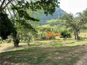Venta  Finca  Venecia Suroeste de Antioquia