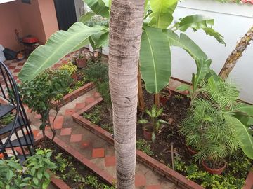 Casa en Venta en Ricaurte - Cundinamarca