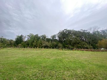 Terreno borde Lago Ranco