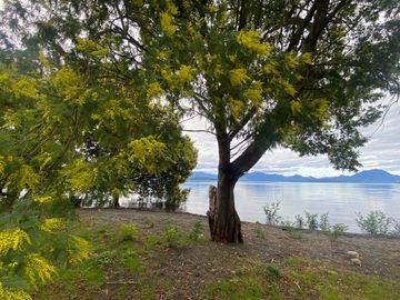 Terreno borde Lago Ranco