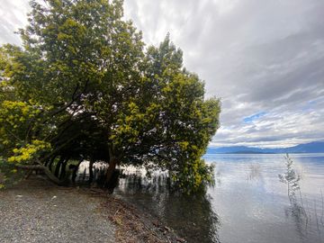 Terreno borde Lago Ranco