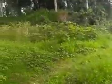 Tanah di Subang Jawa Barat lokasi strategis bebas banjir ada sumber air