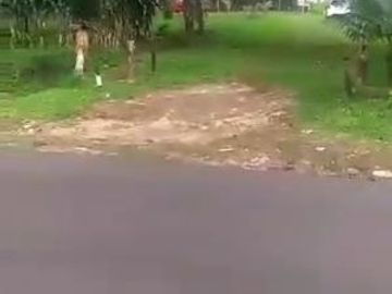 Tanah di Subang Jawa Barat lokasi strategis bebas banjir ada sumber air