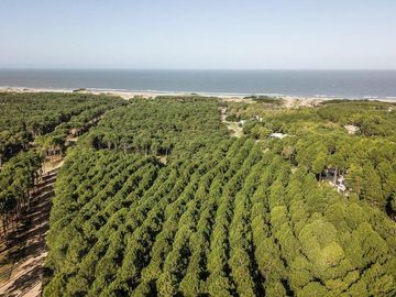 VENTA DEPARTAMENTO 3 AMBIENTES IMAREAS II PINAMAR NORTE