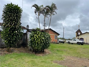 FINCA SEMBRADA CON 1700 RBOLES DE AGUACATE