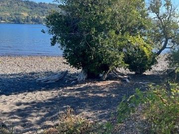 Sitio en Venta en PUYEHUE