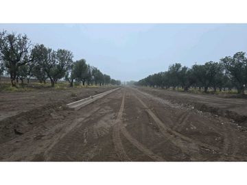 LOTES OLIVOS VIP SAN RAFAEL MENDOZA