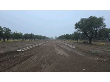 LOTES OLIVOS VIP SAN RAFAEL MENDOZA