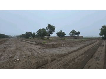 LOTES OLIVOS VIP SAN RAFAEL MENDOZA