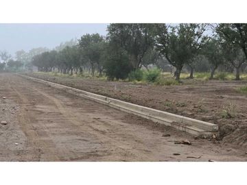 LOTES OLIVOS VIP SAN RAFAEL MENDOZA