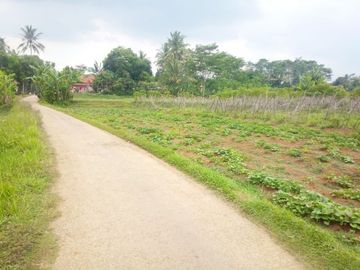 1 Ha Tanah Kebun untuk Kawasan Industri, Ciharashas, Cipeundeuy, Bandung Barat.