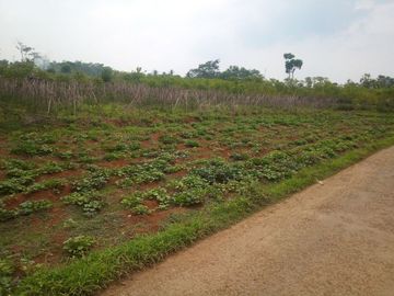 1 Ha Tanah Kebun untuk Kawasan Industri, Ciharashas, Cipeundeuy, Bandung Barat.