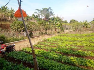 92 Tumbak Kebun Sayur Dekat Pemkab Bandung Barat Pasirsalam, Ngamprah
