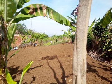 92 Tumbak Kebun Sayur Dekat Pemkab Bandung Barat Pasirsalam, Ngamprah