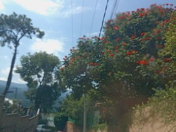 TERRENO EN VENTA EN MONTE ALTO VALLE DE BRAVO