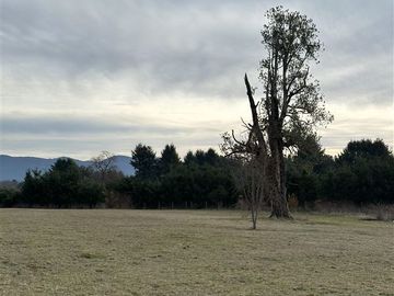 Parcela en Venta en CONDOMINIO COUNTRY PUCON