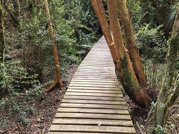 Parcela en venta en Puerto Varas