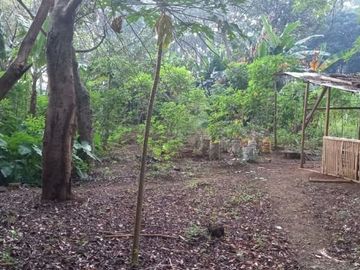 Tanah Darat Pinggir Jalan Sawangan 5.473m2. Dibawah Harga NJOP