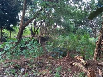 Tanah Darat Pinggir Jalan Sawangan 5.473m2. Dibawah Harga NJOP