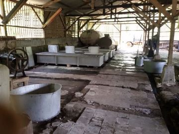 Dijual Cepat Tanah Perkebunan Karet 650 Ha Di Sukabumi