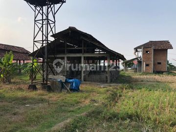 TANAH DI CIBARUSAH JONGOL, BEKASI EX KANDANG SAPI & AYAM DI JUAL