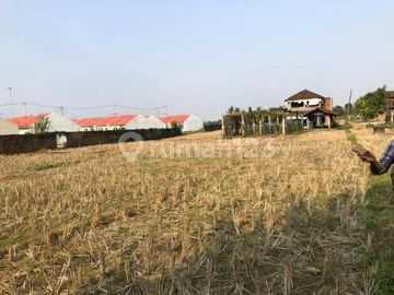 TANAH DI CIBARUSAH JONGOL, BEKASI EX KANDANG SAPI & AYAM DI JUAL
