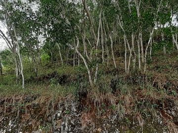 Dijual Tanah Pantai, Bukit, View Laut Bagus di Yogyakarta