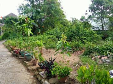 Tanah Pekarangan Akses Mobil Papasan di Jakal km 5