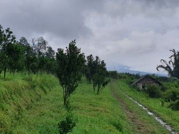 MURAH!! TANAH LOKASI PADAT PENDUDUK