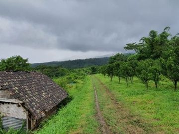 MURAH!! TANAH LOKASI PADAT PENDUDUK