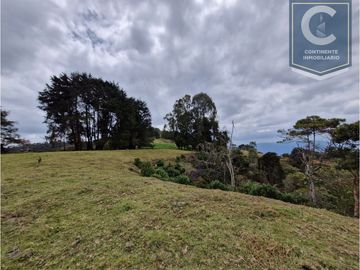 Venta Finca El Espinal San Pedro de los Milagros