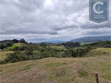 Venta Finca El Espinal San Pedro de los Milagros