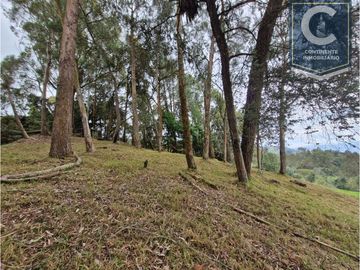 Venta Finca El Espinal San Pedro de los Milagros