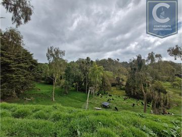 Venta Finca El Espinal San Pedro de los Milagros